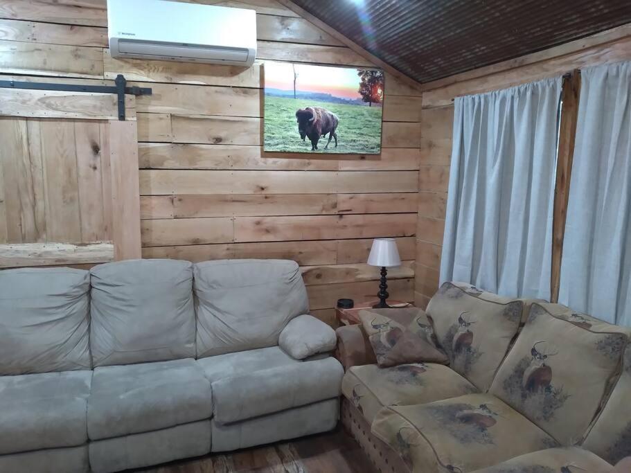 Cabin With A Tree House On A Buffalo Farm . Marshall Екстериор снимка