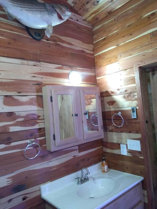 Cabin With A Tree House On A Buffalo Farm . Marshall Екстериор снимка